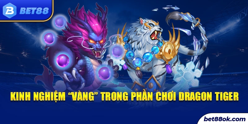 Kinh nghiệm “vàng” trong phần chơi dragon tiger