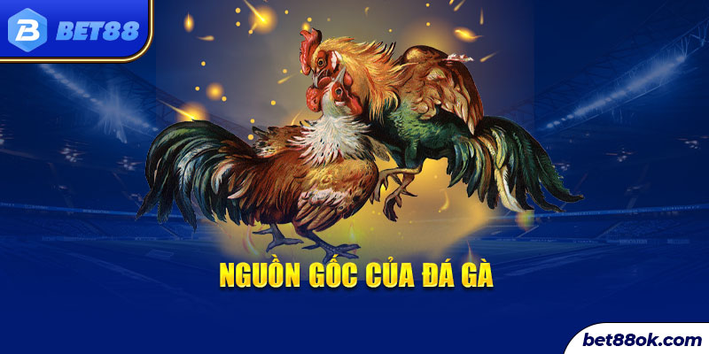 Nguồn gốc của đá gà