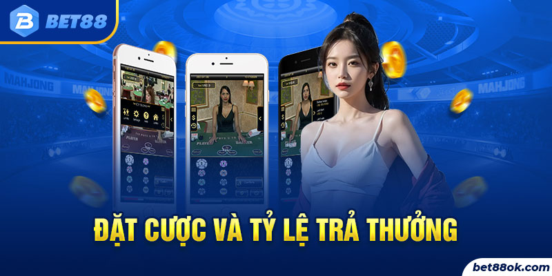 Đặt cược và tỷ lệ trả thưởng 